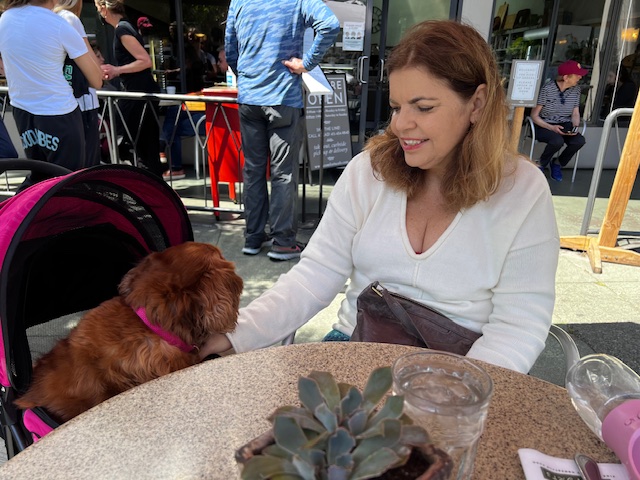 Headshot of author Debby Show
